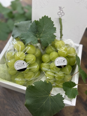 マスカットジパング | 山雅ファブリカン