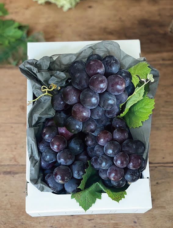 ピオーネ2ｋｇ | 山雅ファブリカン