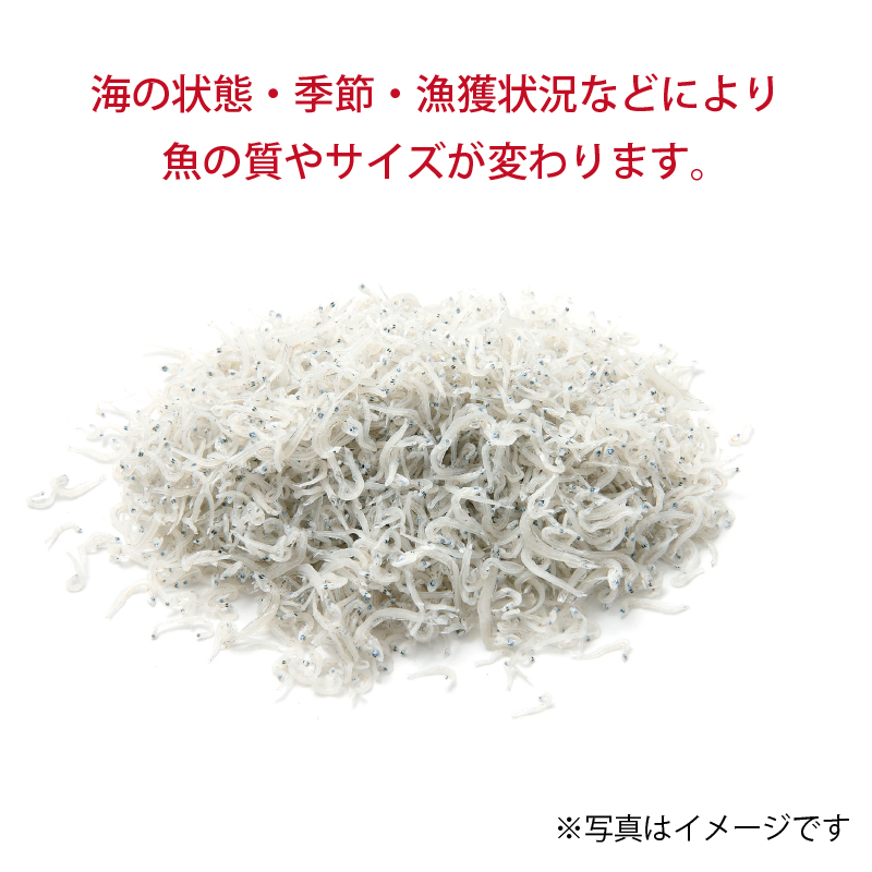 CPC-L24 アウトレット品　ちりめんじゃこ ちりめんじゃこ(白口)｜長崎の削り節・無添加だしはだし専門店【中嶋屋