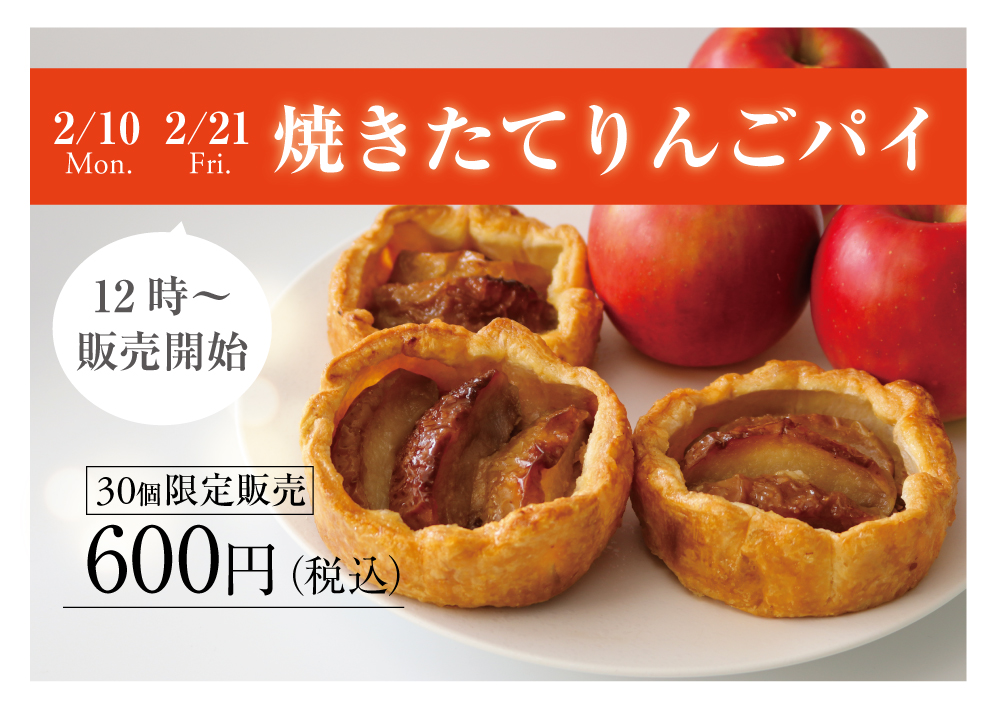 りんごパイ  2個まとめ買い KOUBO アップルパイ 国産小麦・りんご使用 1セット（5個入