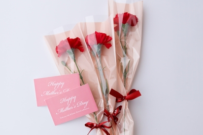 母の日カーネーション1本＼カード付／