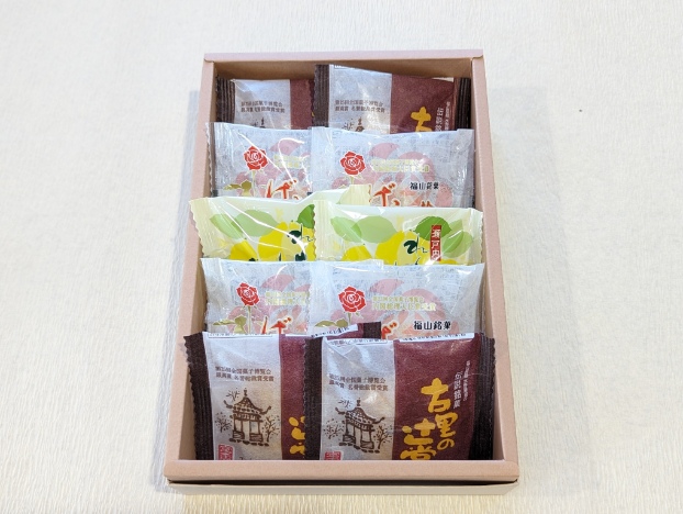 宮本屋 全国菓子博覧会受賞商品 郷土銘菓セット（10個入り） | あみゃ