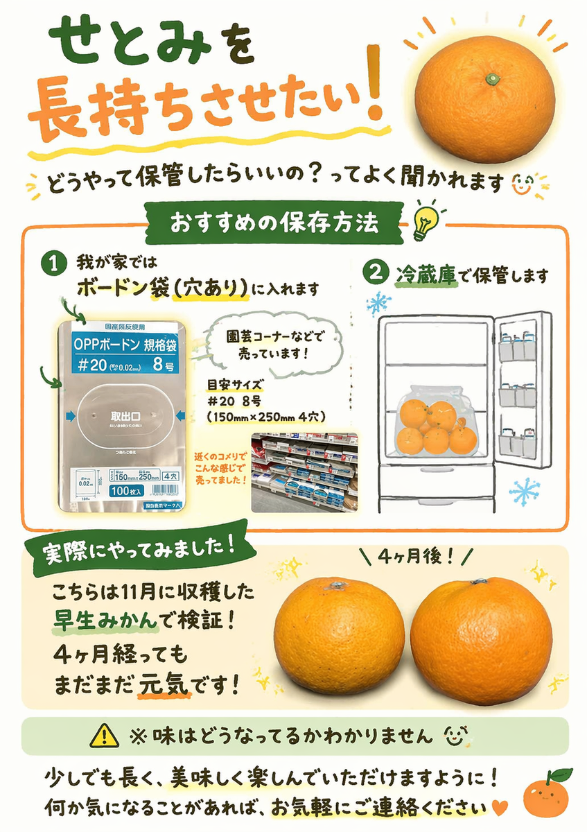 せとみ2kg 送料込み | 片岡農園
