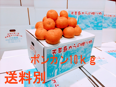 ぽんかん　10ｋｇ