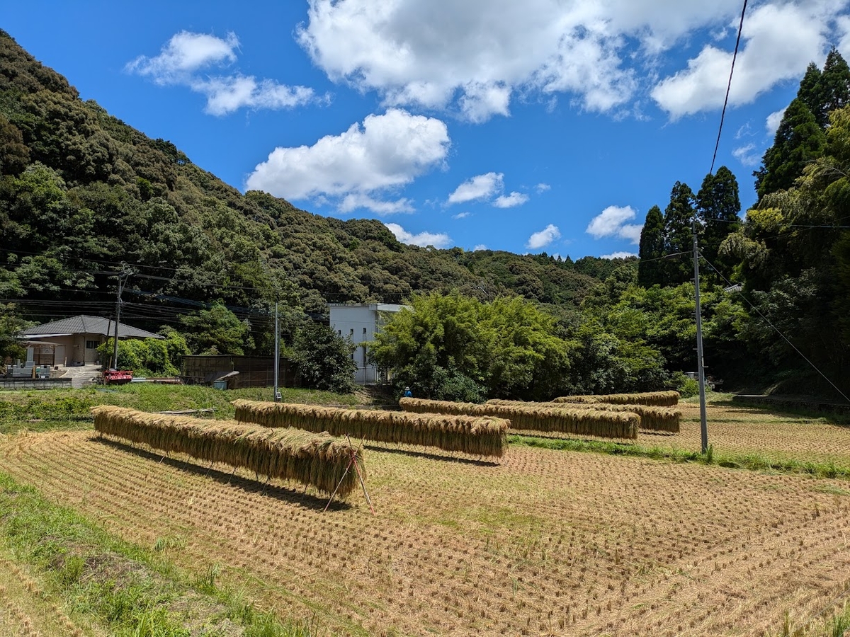 コシヒカリ 精米5kg 上白米（送料別） | 大田農園オンライン