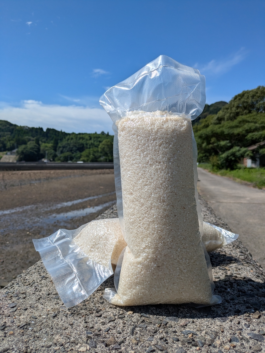 コシヒカリ 精米5kg 無洗米 | 大田農園オンライン