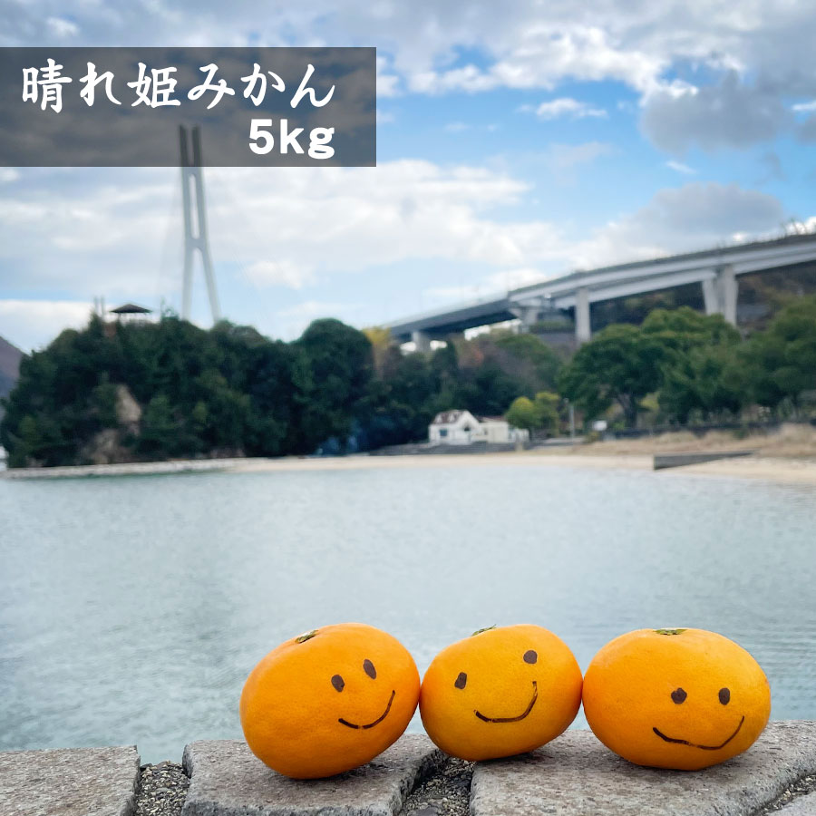 愛媛県産 晴れ姫 みかん ご家庭用5Kg 農家直送 大三島産 福本