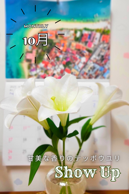 【10月＊おまかせ～Dank u！】甘美な香りのテッポウユリ 7本　＊お届けは10/31まで