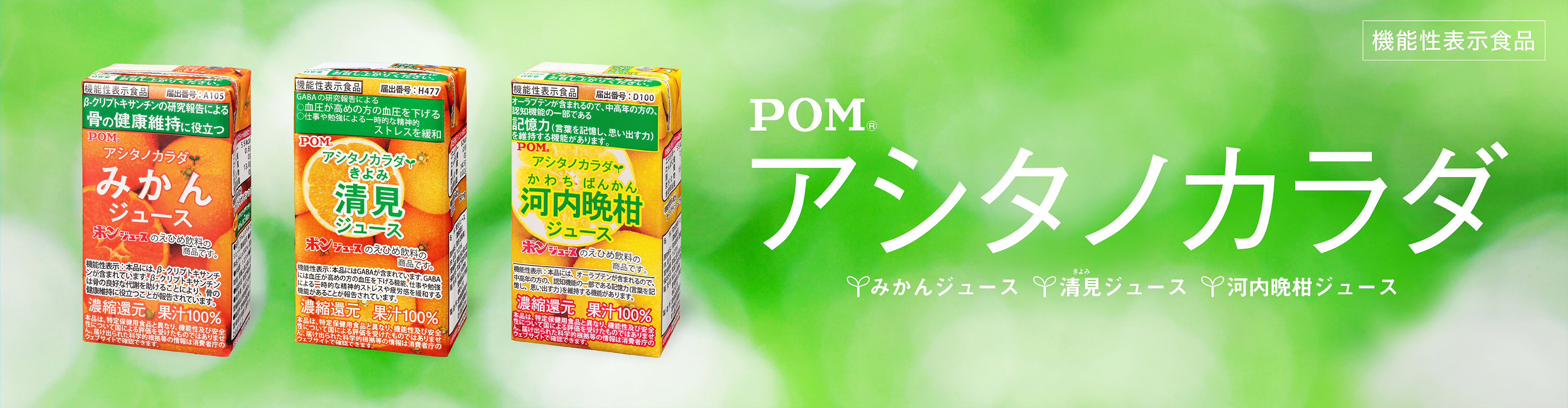 POMアシタノカラダ