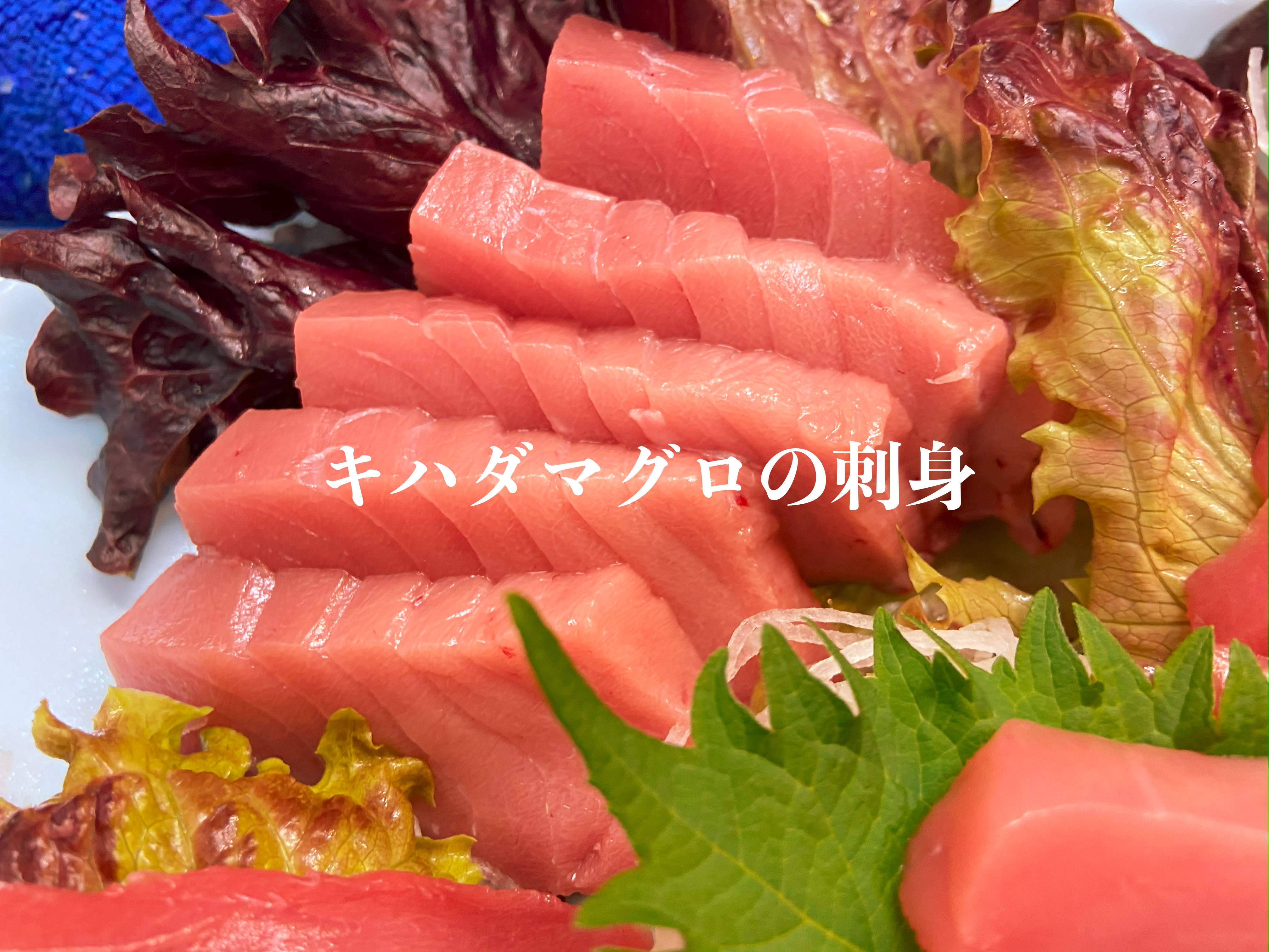 キハダマグロの刺身