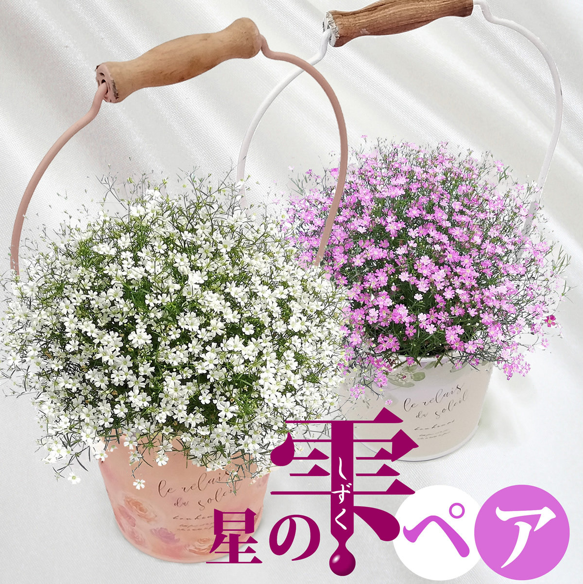 カスミ草バスケット「星の雫ペア」//鉢植えプレゼントはオーク・リーフ
