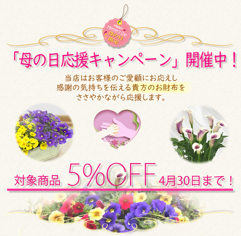 ピカソの女の花飾り ピカソの女の花飾り