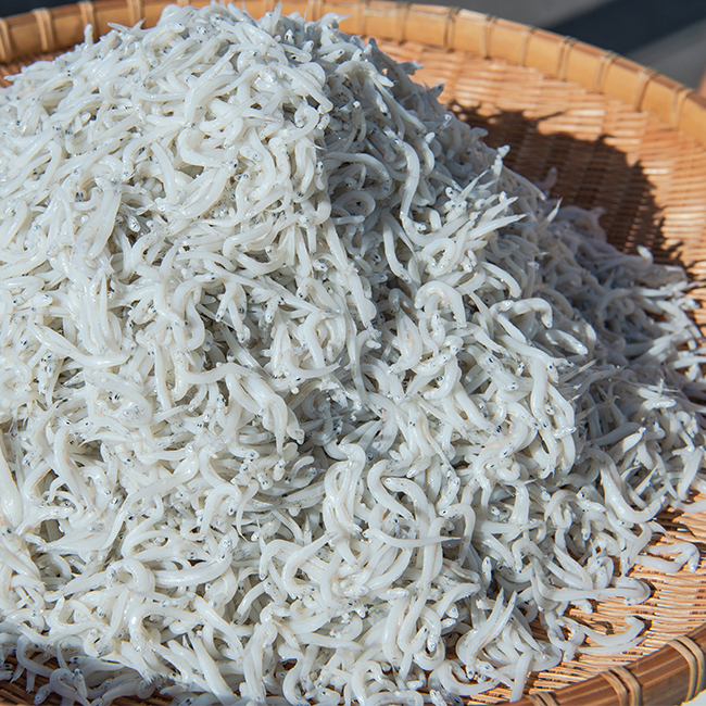 冷凍 ＊ 釜揚げしらす(250g) | 浜野水産 湘南丸