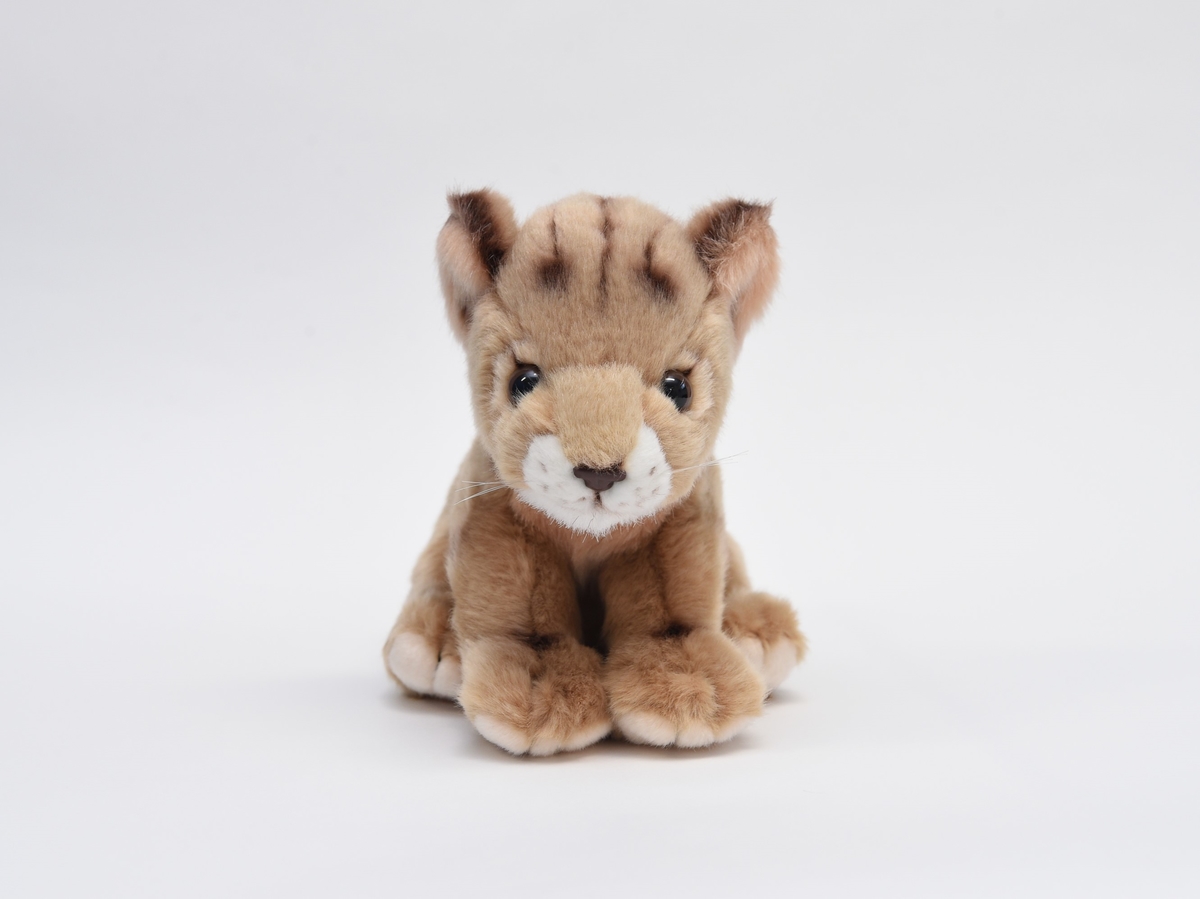 ライオンの赤ちゃん tokyozooshop ライオンの赤ちゃん tokyozooshop