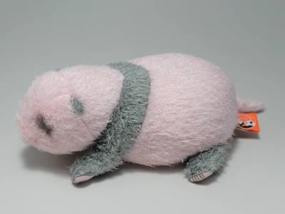 上野動物園 シャオシャオ レイレイほんとの大きさパンダの仔 暁暁 蕾蕾