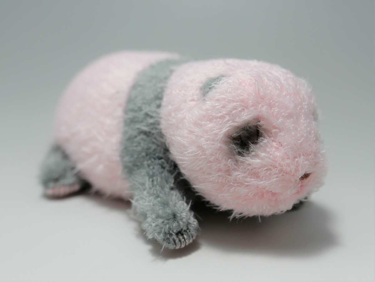 上野動物園 シャオシャオ レイレイほんとの大きさパンダの仔 暁暁 蕾蕾