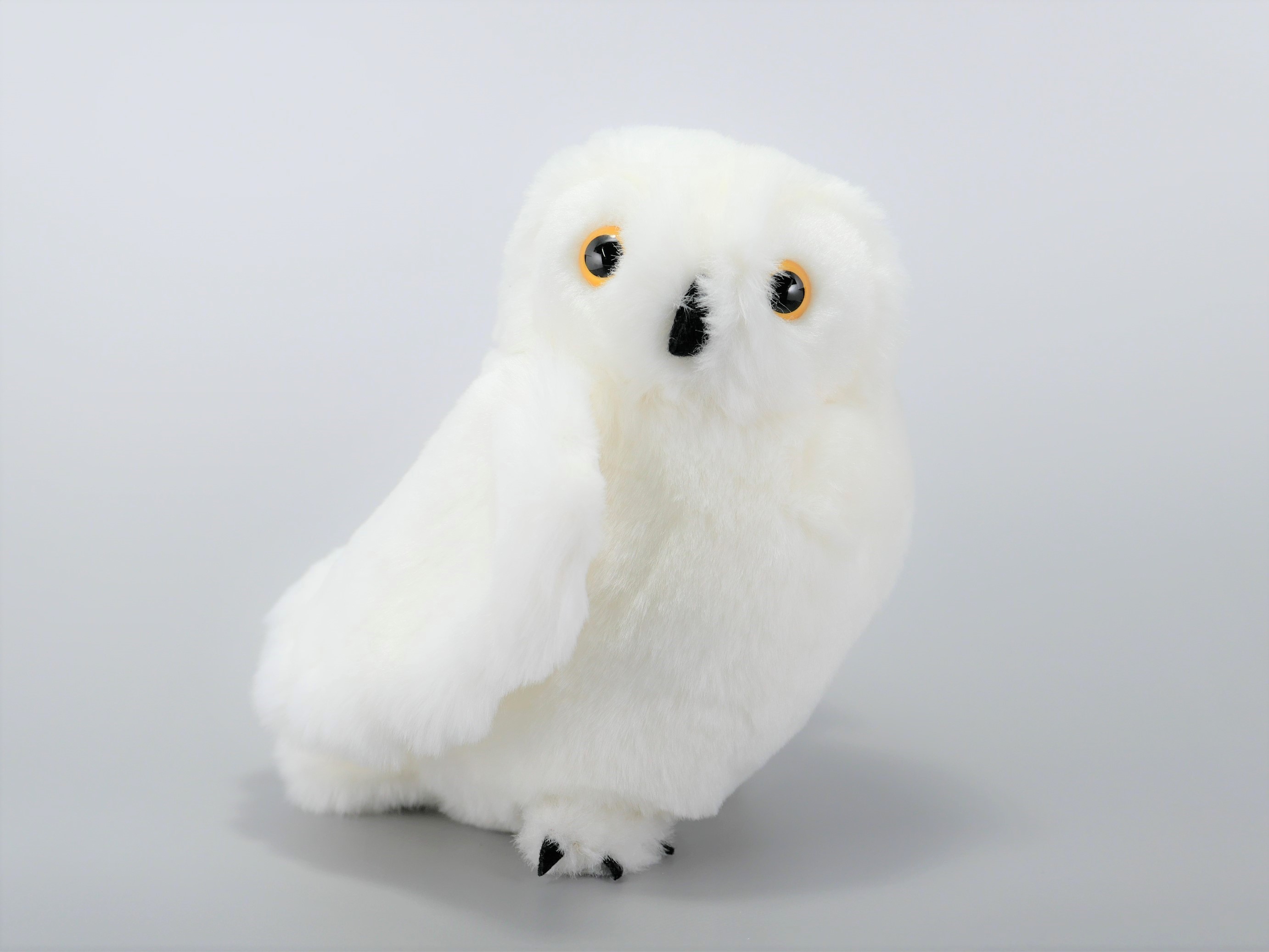 シロフクロウs ｔｏｋｙｏｚｏｏｓｈｏｐ