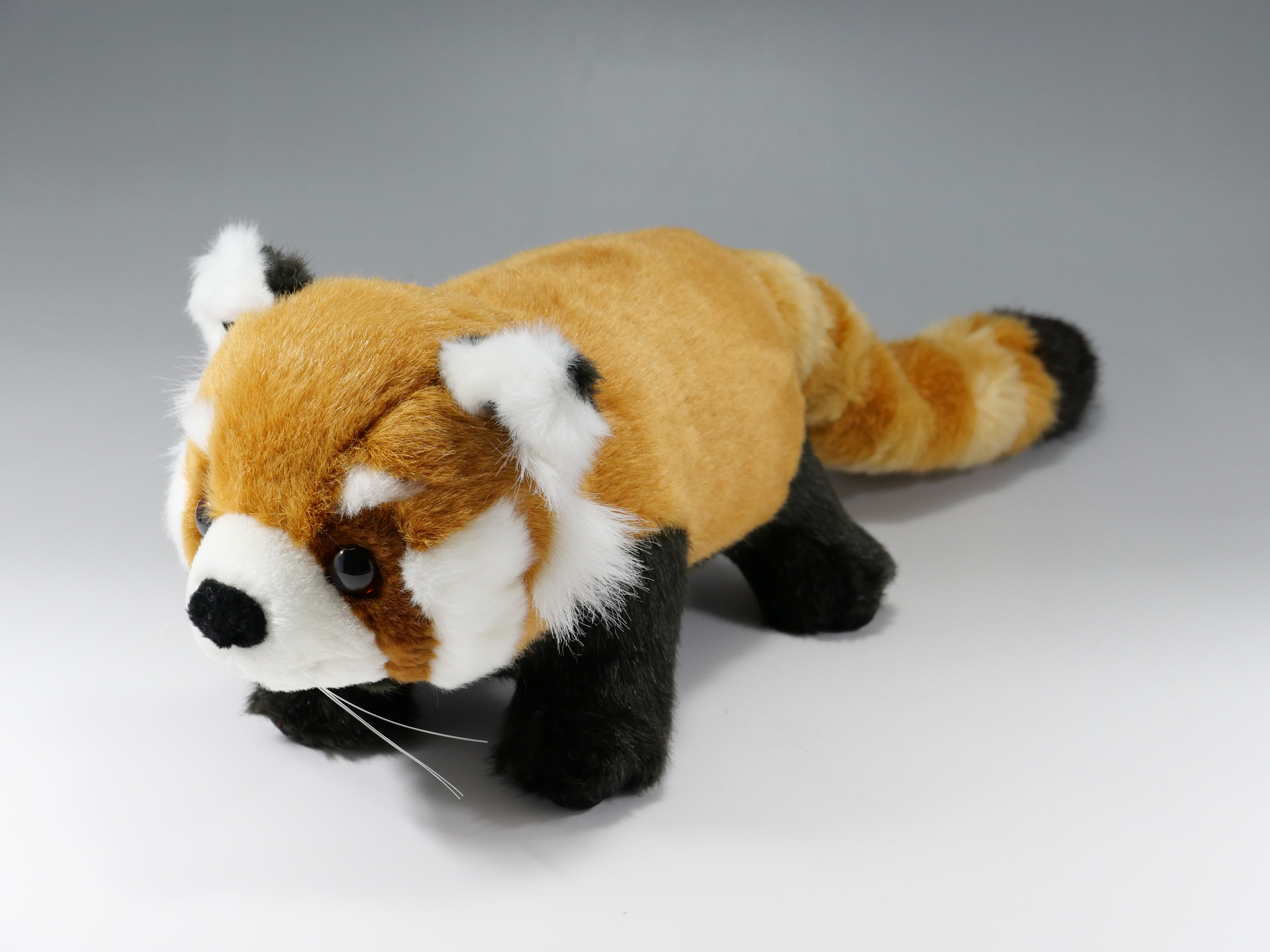 レッサーパンダ ｔｏｋｙｏｚｏｏｓｈｏｐ