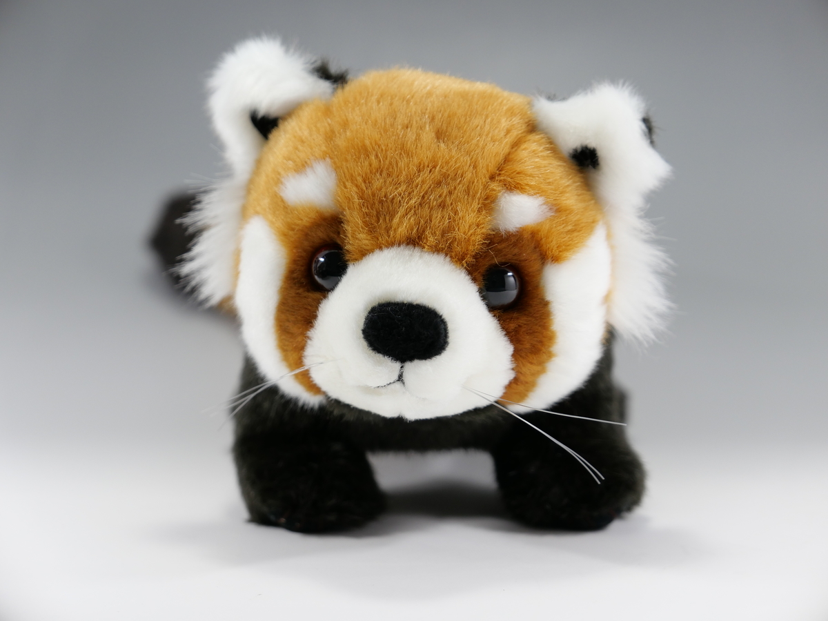 レッサーパンダ ｔｏｋｙｏｚｏｏｓｈｏｐ