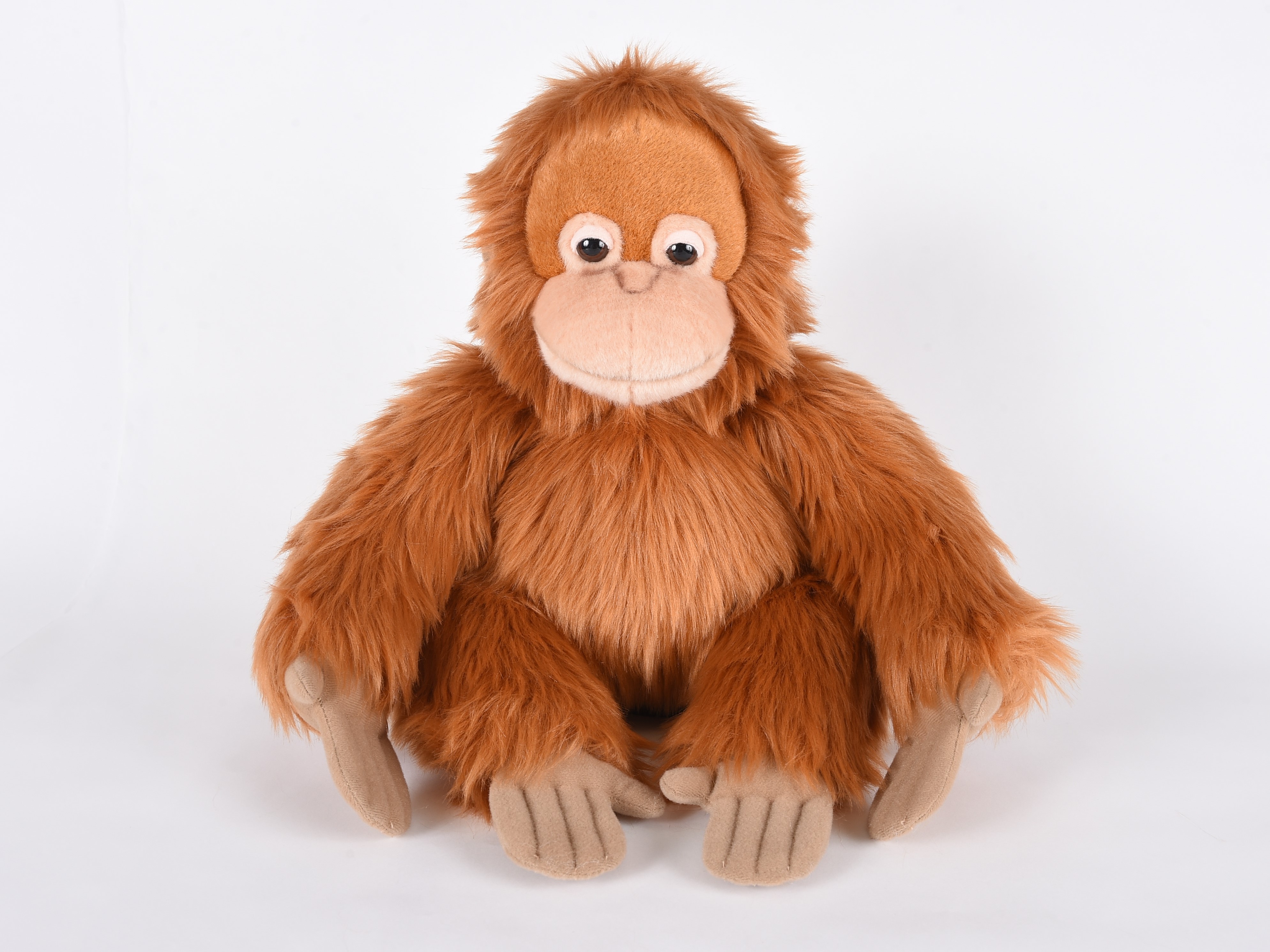 オランウータンm ｔｏｋｙｏｚｏｏｓｈｏｐ