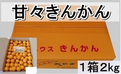 １月ご予約　甘々きんかん　3Lサイズ