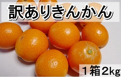 １月ご予約　訳ありきんかん　　Lサイズ