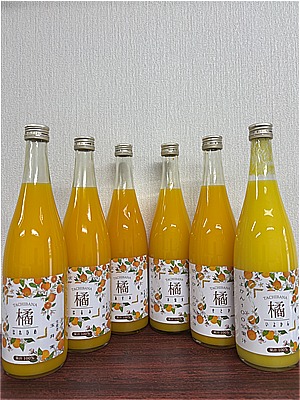 柑橘ジュース６種類セット