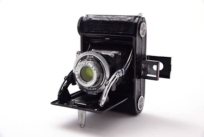 六桜社 ベビーパール(Baby Pearl)