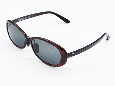 FLAT17 　ブラウンデミクリアグレー/トゥルービューフォーカスハードマルチシングルコート