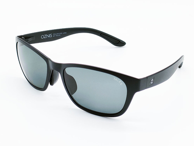 FLAT19 　マットブラック/トゥルービューフォーカスハードマルチシングルコート