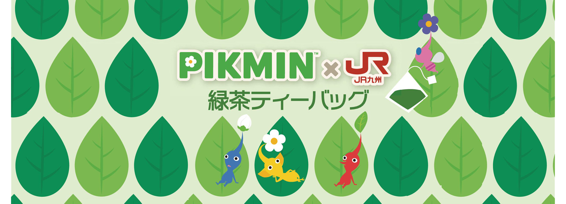 PIKUMIN×JR九州緑茶ティーバッグ