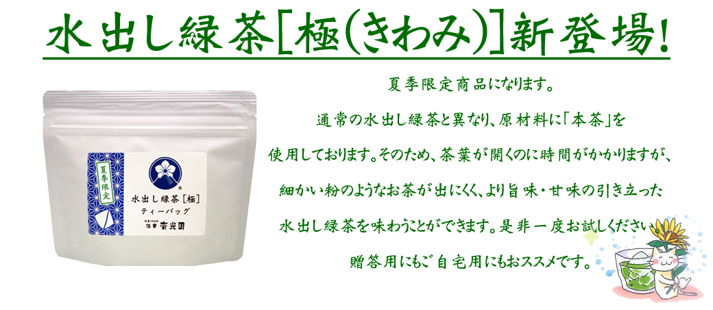 水出し緑茶[極]ティーバッグ