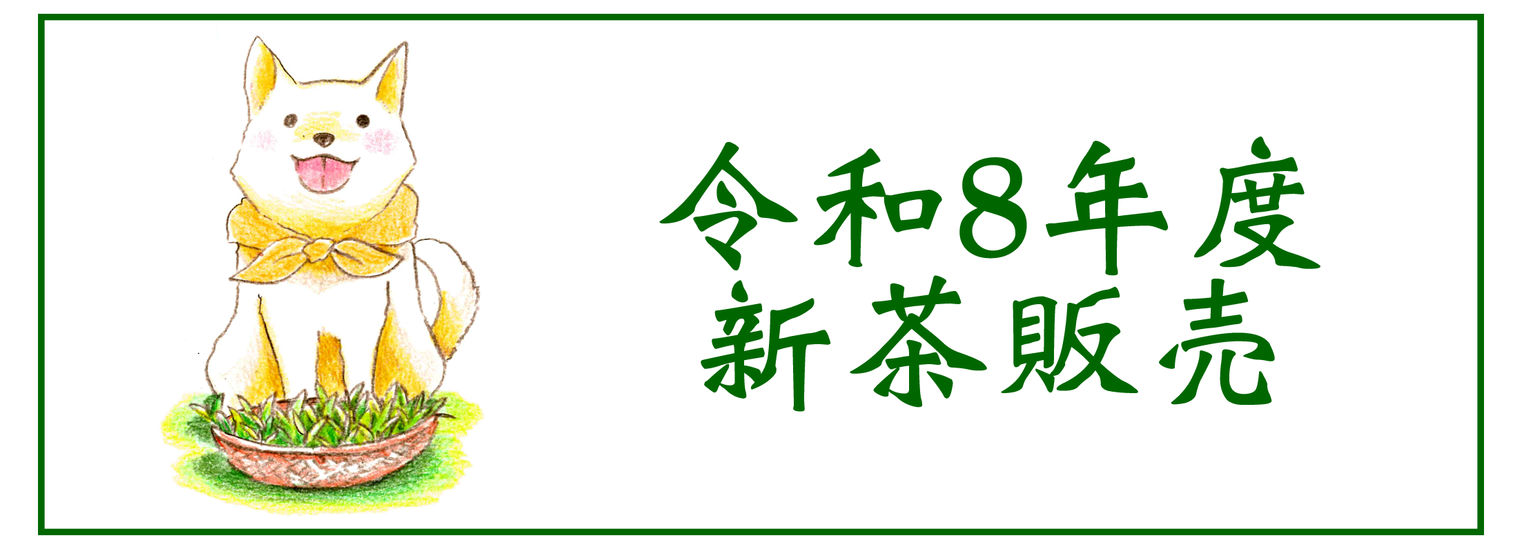 新茶販売について