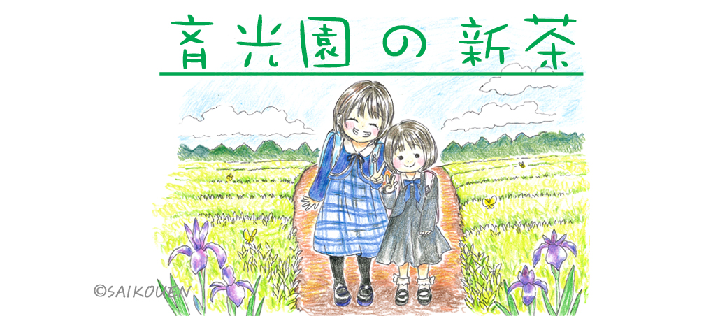 令和8年度新茶販売
