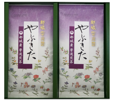 やぶきた[都城茶] (普通煎茶) 2袋ギフト