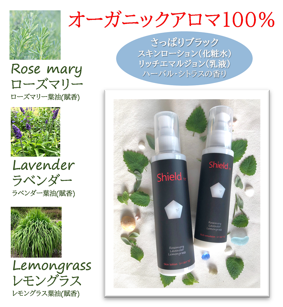 自然化粧水12本 伊藤園 磨かれて、澄みきった日本の水 2L ペットボトル 12本 (6