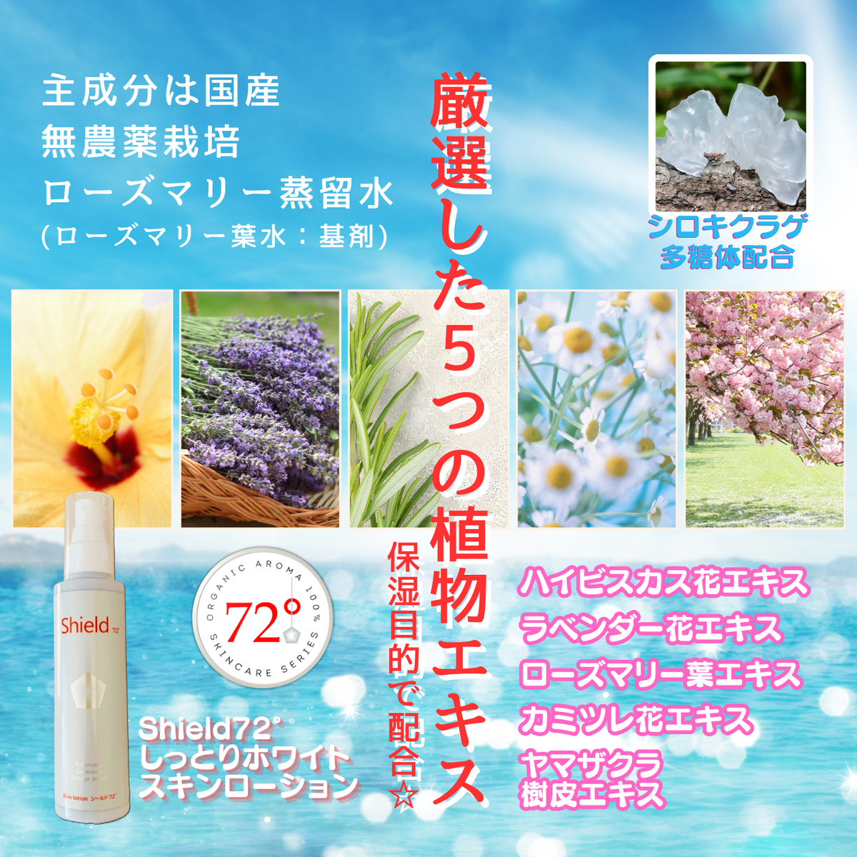ロイヤル オーガニック ヘアトリートメント ローズマリー髪修復改善　バラ売り可能 Amazon.co.jp: ジョンマスターオーガニック(john masters