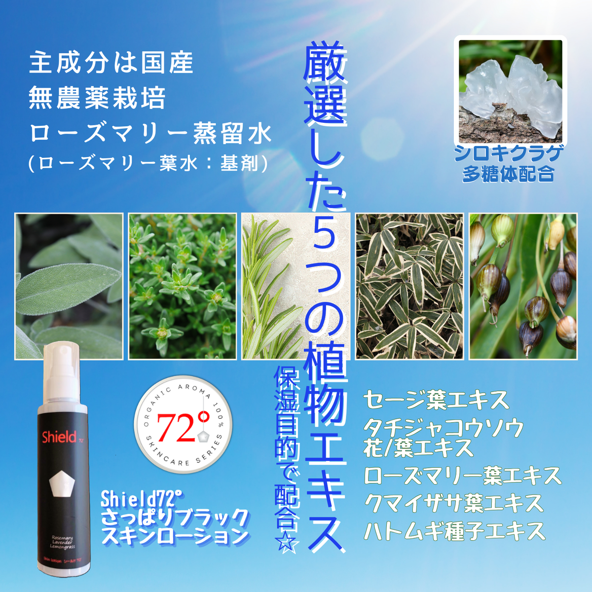 リラクゼーション様新品　ローズマリー・ゼラニウム各15ml おまとめ割引価格 フェイスウォッシュ 150ml【ローズゼラニウムの香り】
