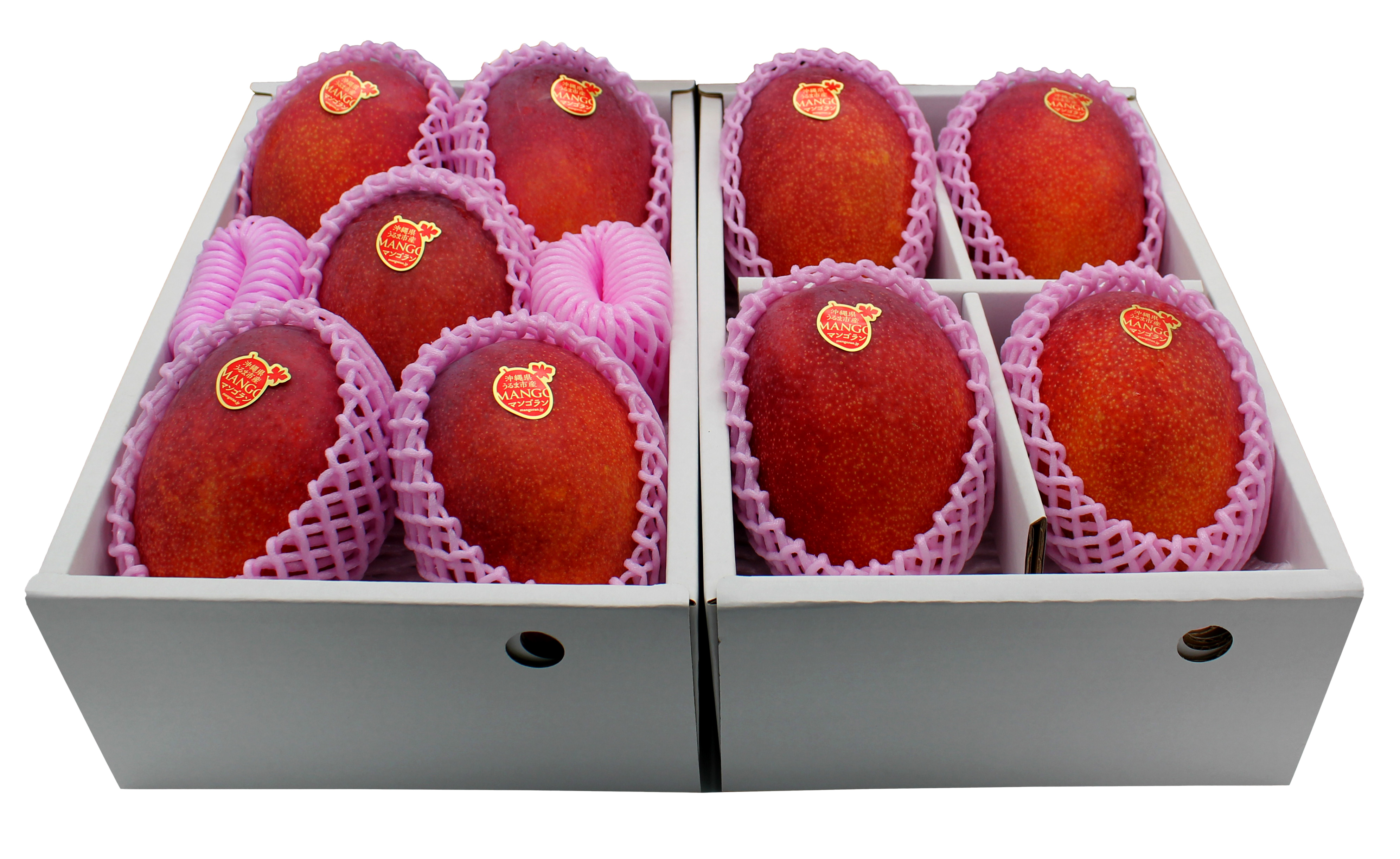 flexbox高さを揃えた画像1