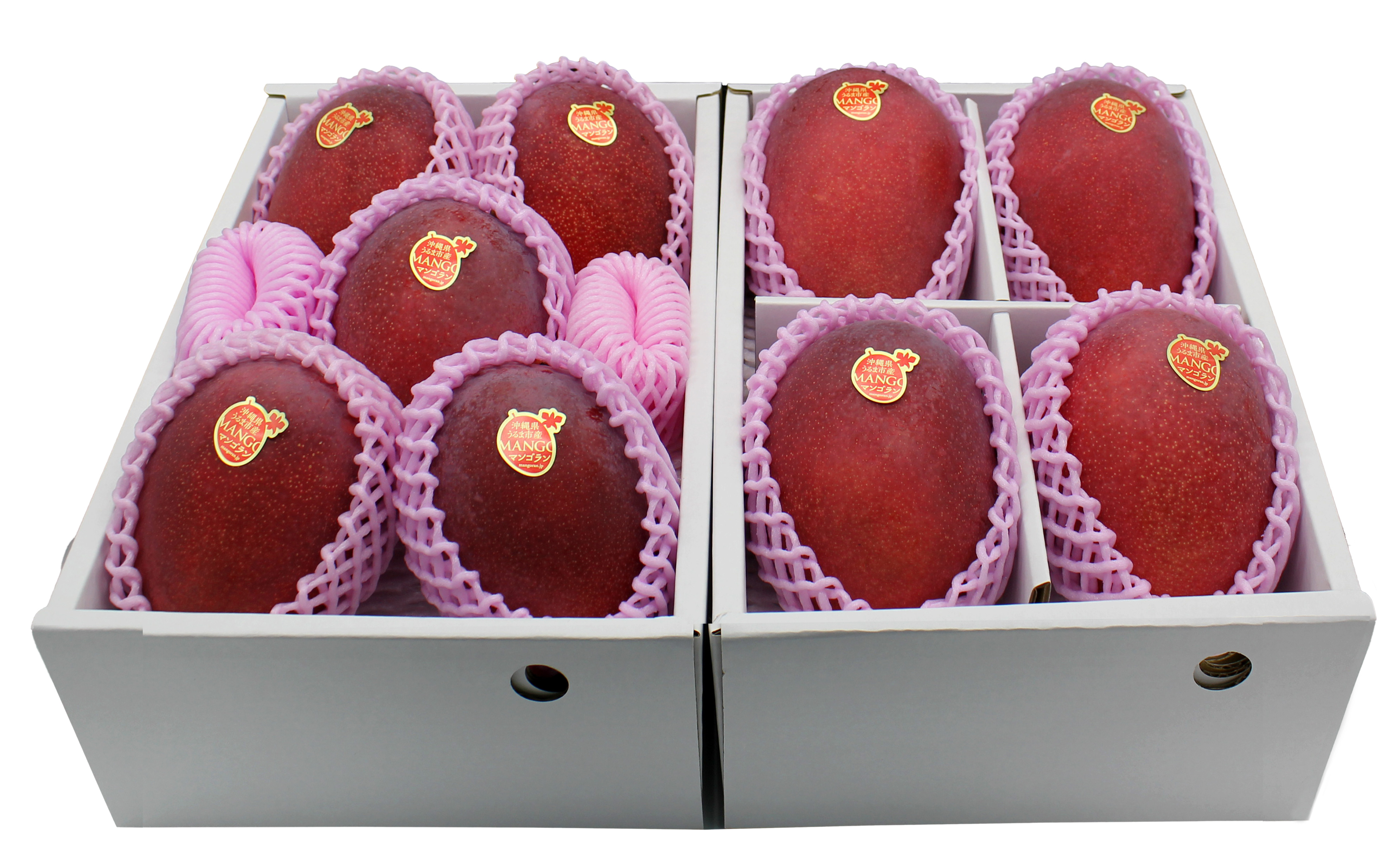 flexbox高さを揃えた画像1