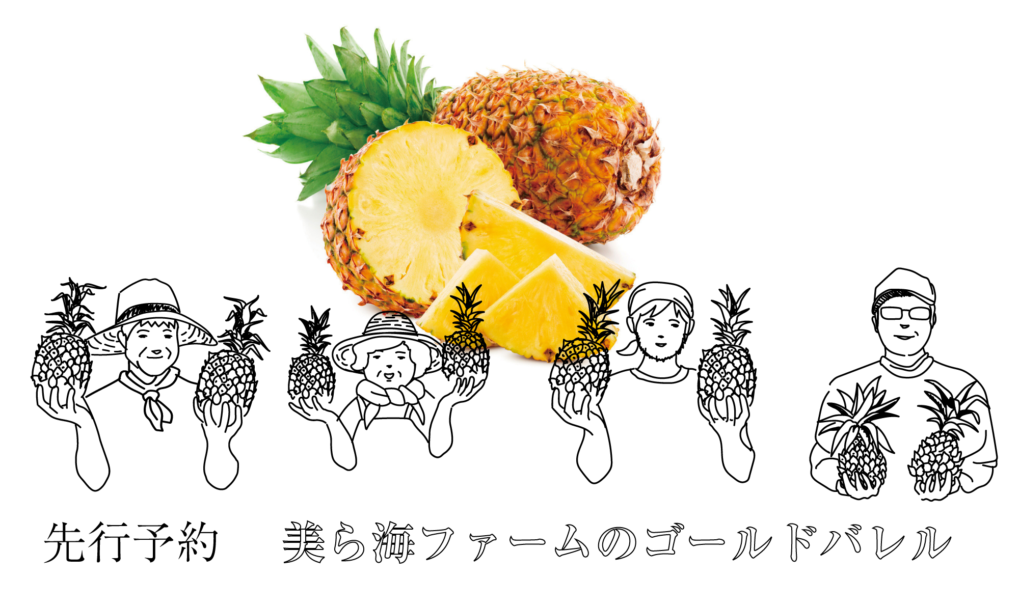 ゴールデン パイナップル １個 送料別商品です 超美品再入荷品質至上