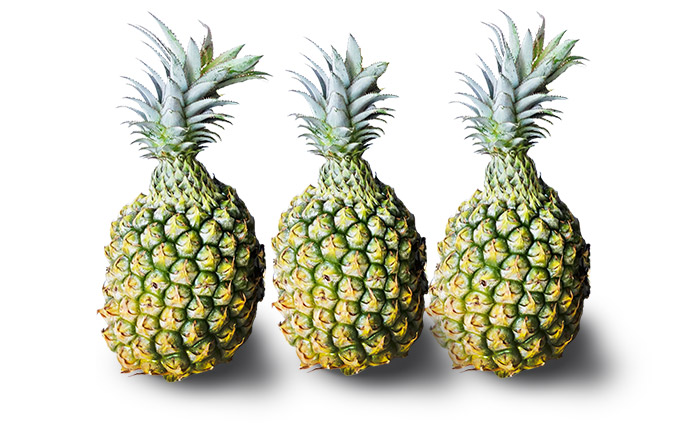 flexbox高さを揃えた画像1