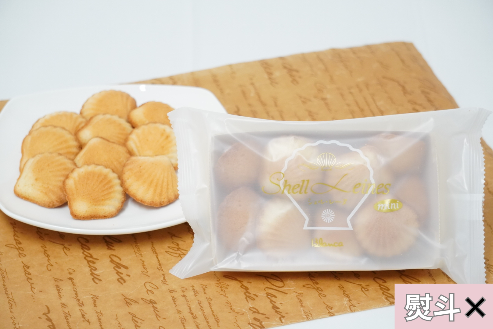 シェル・レーヌ ミニ プレーン 徳用10個入 | ブランカネットショップ