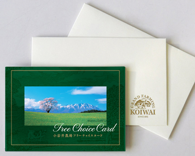 フリーチョイスカード