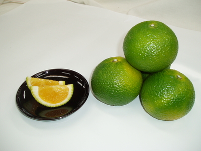 スイートスプリング　Ｌｻｲｽﾞ　3kg