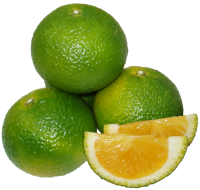 スイートスプリング 2Lサイズ 3kg