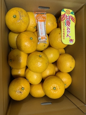 甘夏　〇Ｌ　10kg　家庭用