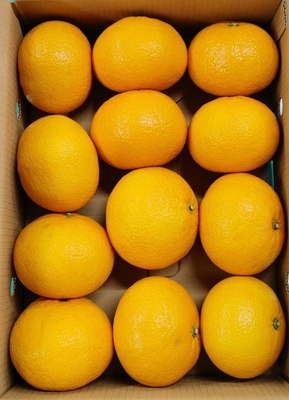 甘夏　優Ｌ　12個　4kg