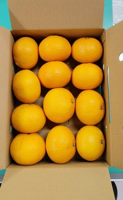 紅甘夏　優L　12玉　4kg