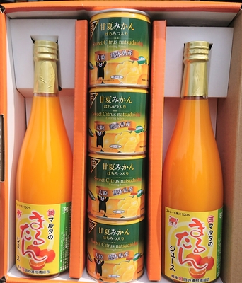 甘夏缶詰4缶+まるたんジュース2本